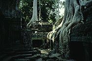 Angkor: Ta Prohm, der Tempel, den man dem Dschungel gelassen hat