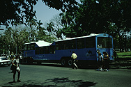 Kamel-Stadtbus in Havanna