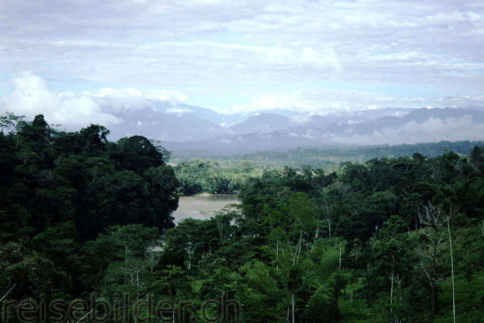 Im Regenwald bei Misahuallí, Blick gegen die Anden im Westen